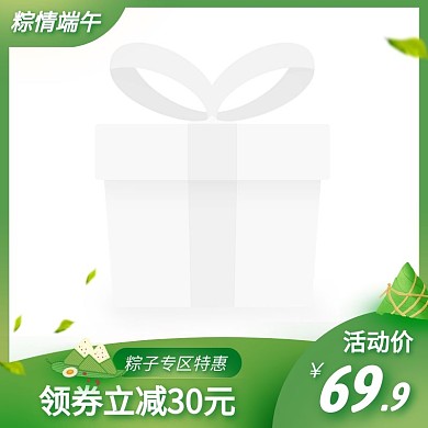 端午节粽子促销特惠活动创意主图图标
