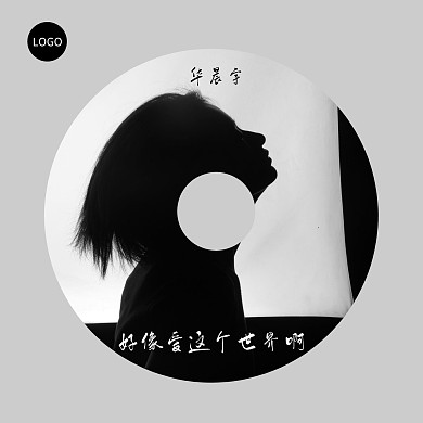 唱片专辑歌手CD封面