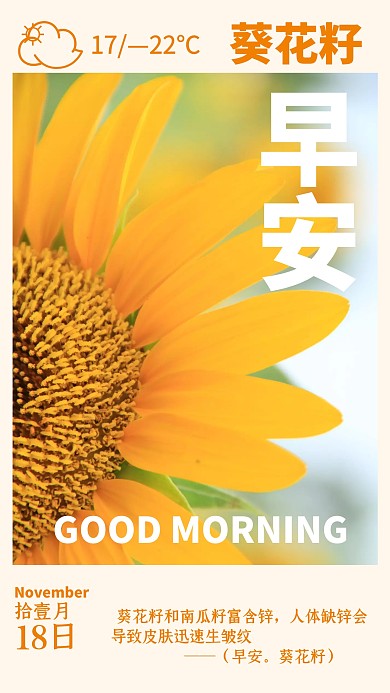 早安葵花籽大气简约插图橙色