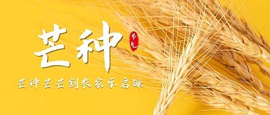 芒种节气简约创意趣味公众号封面首图