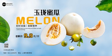 玉珑蜜瓜蓝色清新大气横版海报
