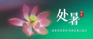 摄影荷花处暑节气处暑祝福问候封面首图