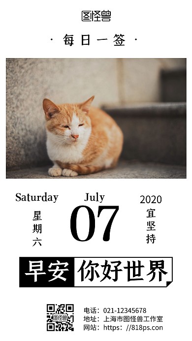白色简约背景猫日历早安日签