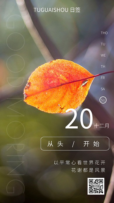 简约风白色周日早安坚强日签