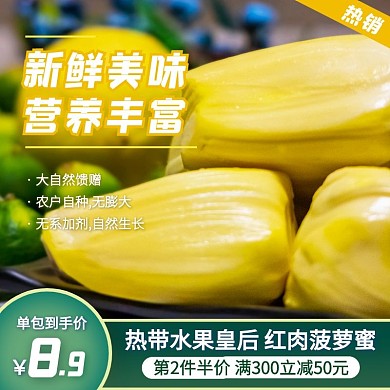 菠萝蜜干果淘宝水果主图直通车