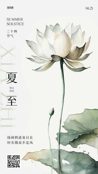 夏至传统节气祝福花卉插画风海报