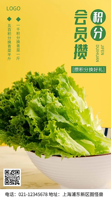 摄影图会员积分绿色简约风手机海报