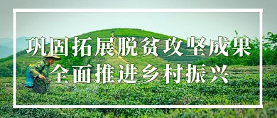 巩固拓展脱贫攻坚成果 全面推进乡村振兴