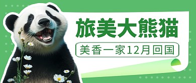 旅美大熊猫简约彩色微信公众号封面首图