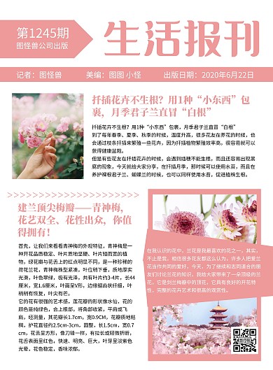 粉色清新风生活报刊日报简讯