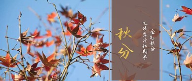 秋分公众号封面首图