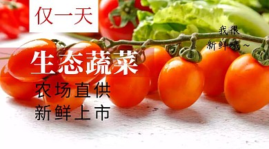 生态蔬菜新鲜上市