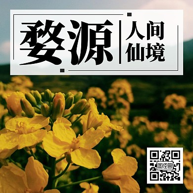 油菜花黄色公众号方图
