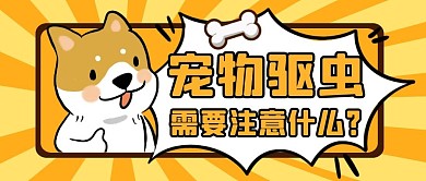 宠物驱虫创意卡通黄色公众号封面首图