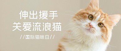 关爱流浪猫猫咪日节日公众号封面首图