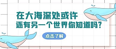鲸鱼公众号封面