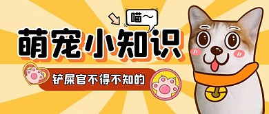 宠物萌宠动物猫咪攻略趣味公众号首图