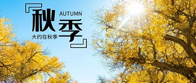 秋季金色背景公众号首图