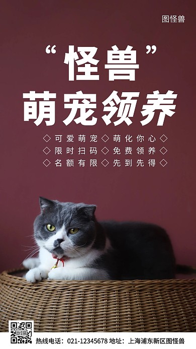 领养萌宠白色简约风手机海报