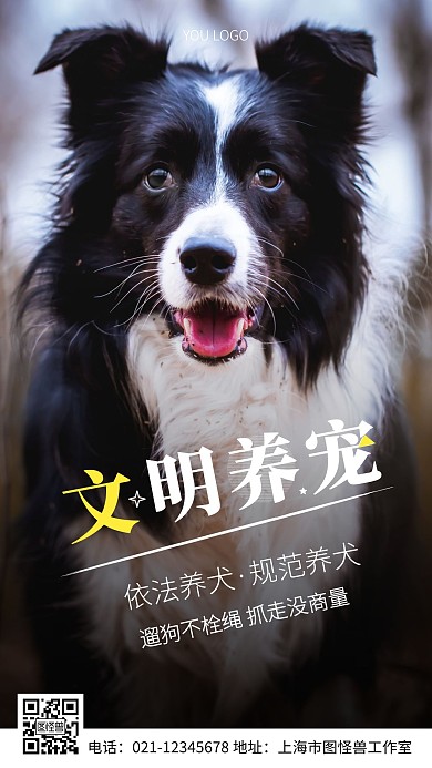 公益环保文明养犬白色简约风摄影图海报