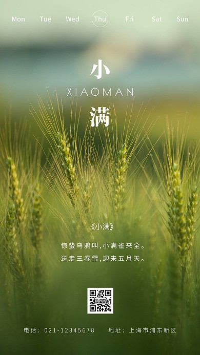 简约摄影绿色清新唯美早安小满诗句日签
