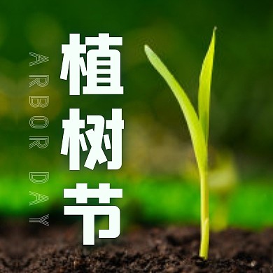 植树节简约摄影风公众号次图