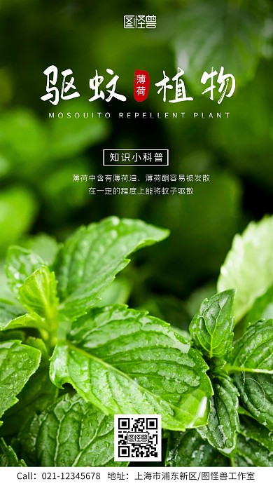 夏天驱蚊植物薄荷功效科普手机海报