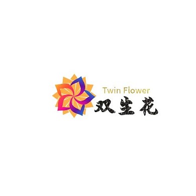 创意双生花logo