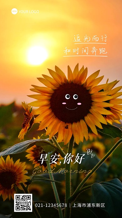 早安你好问候向日葵可爱摄影图海报