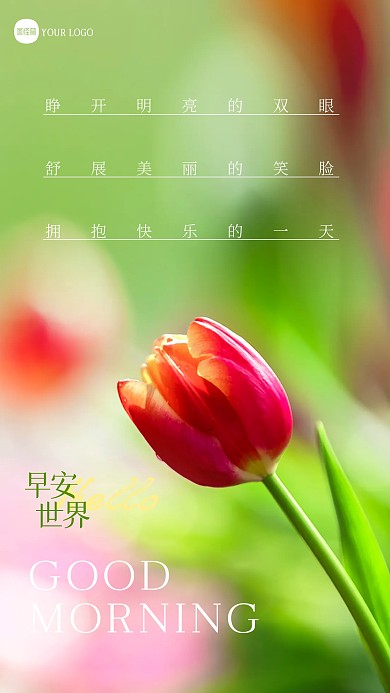 简约创意早安祝福问候摄影图海报