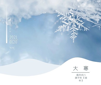 简约蓝色雪花大寒节气社交媒体
