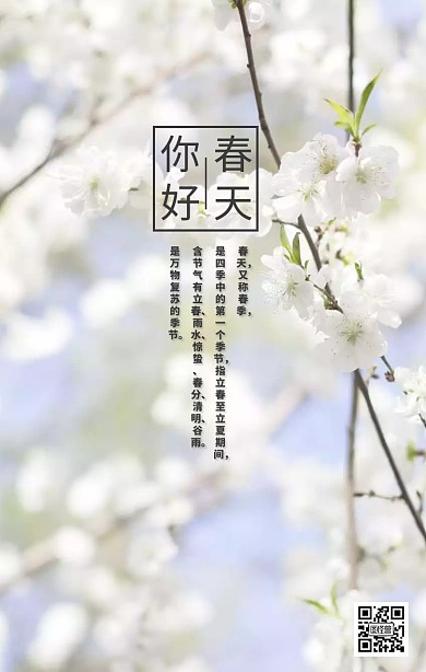 你好春天水墨风日签
