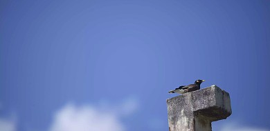 古风水墨创意古典banner背景