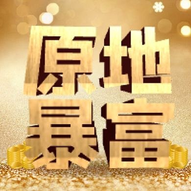 中老年风格原地暴富3D字封面次图