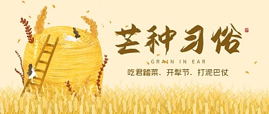 芒种节气传统习俗宣传简约公众号首图