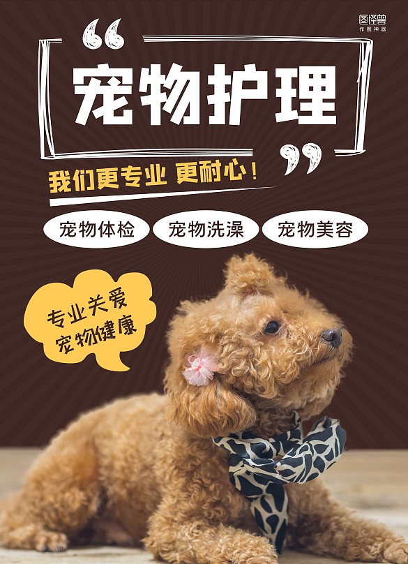 黄白创意宠物护理开业促销价目表