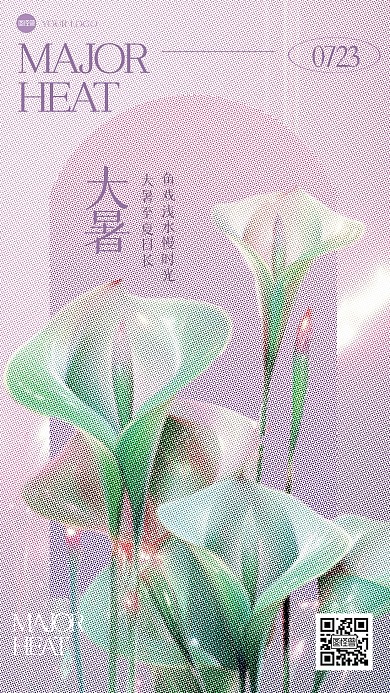 清新花朵大暑色彩半调海报