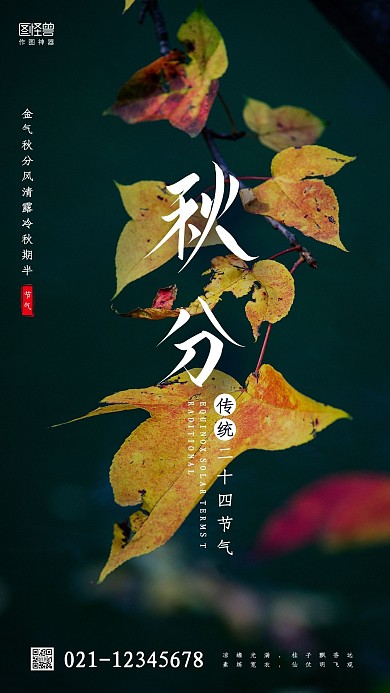 深色金黄叶子摄影图秋分传统节气手机海报