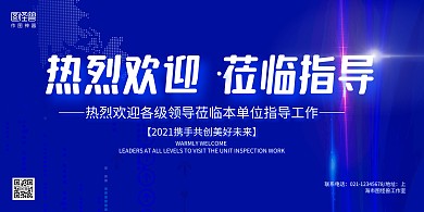 蓝色科技风热烈欢迎领导视察展板背景墙
