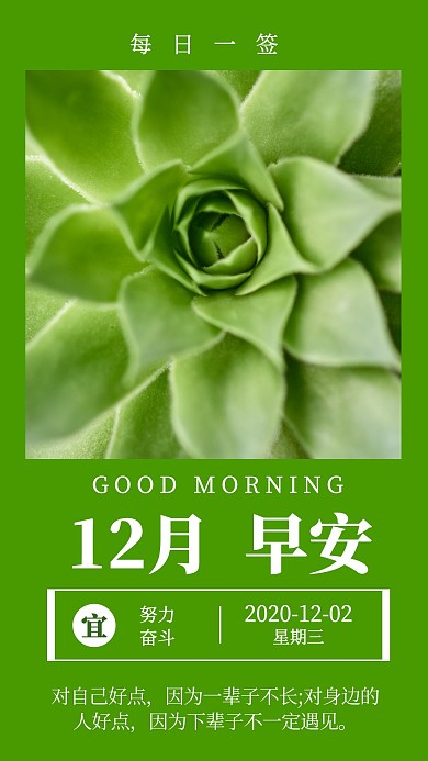 12月早安图片简约绿色日签海报