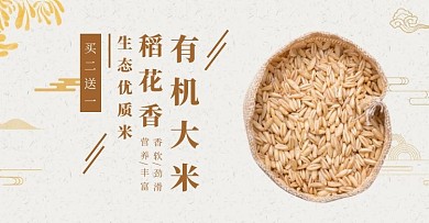 有机大米促销袋装简约黄色海报	