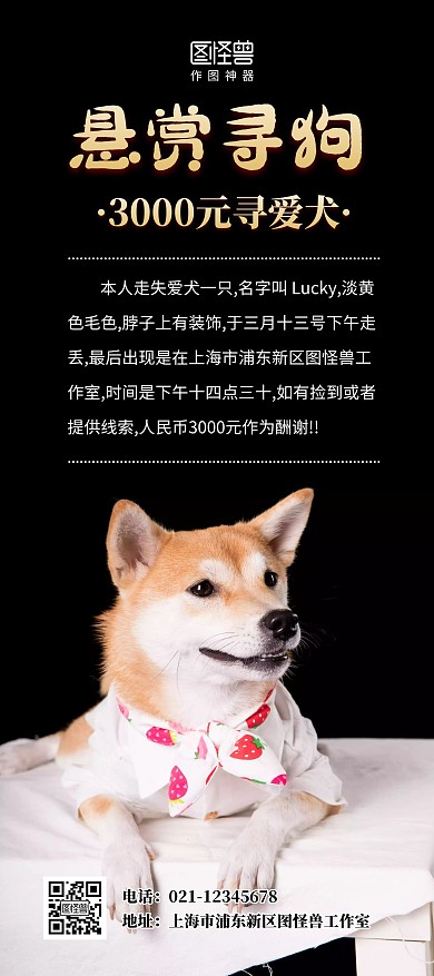 悬赏寻狗启示宣传宠物爱犬走丢简约展架