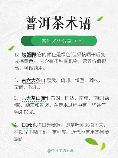 茶叶知识术语科普简约宣传小红书