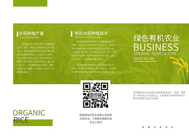 绿色健康麦子水稻农业公司宣传三折页