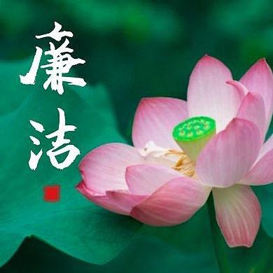 荷叶绿通用简约绿色卡通公众号封面次图