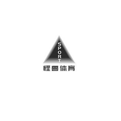 黑色现代风格体育公司logo设计