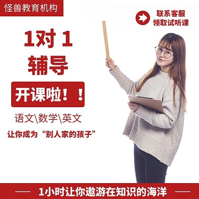 1对1辅导红色简约大气电商直通车