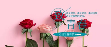 毕业季青春回忆简约公众号封面