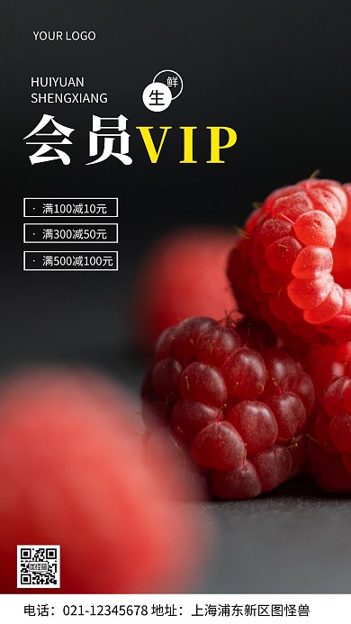 摄影图VIP会员黑色简约风手机海报