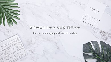 ins风简约清爽办公摄影电脑桌面